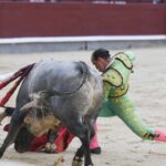 Madrid- Novillada picada - Domingo 3 de septiembre de 2018