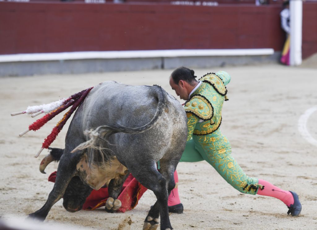 Madrid- Novillada picada - Domingo 3 de septiembre de 2018