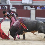 Madrid- Novillada picada - Domingo 3 de septiembre de 2018