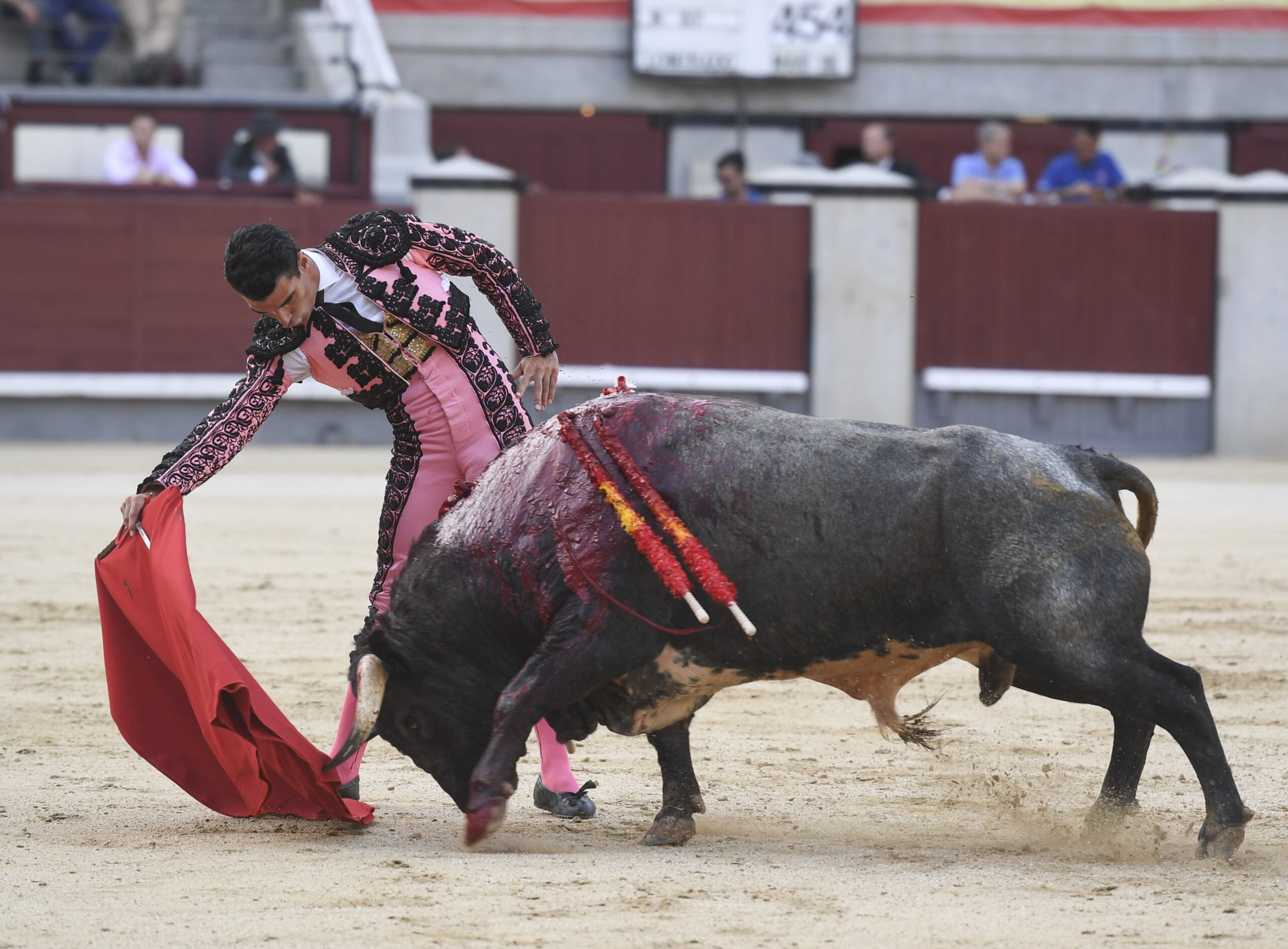 Madrid- Novillada picada - Domingo 3 de septiembre de 2018
