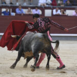 Madrid- Novillada picada - Domingo 3 de septiembre de 2018