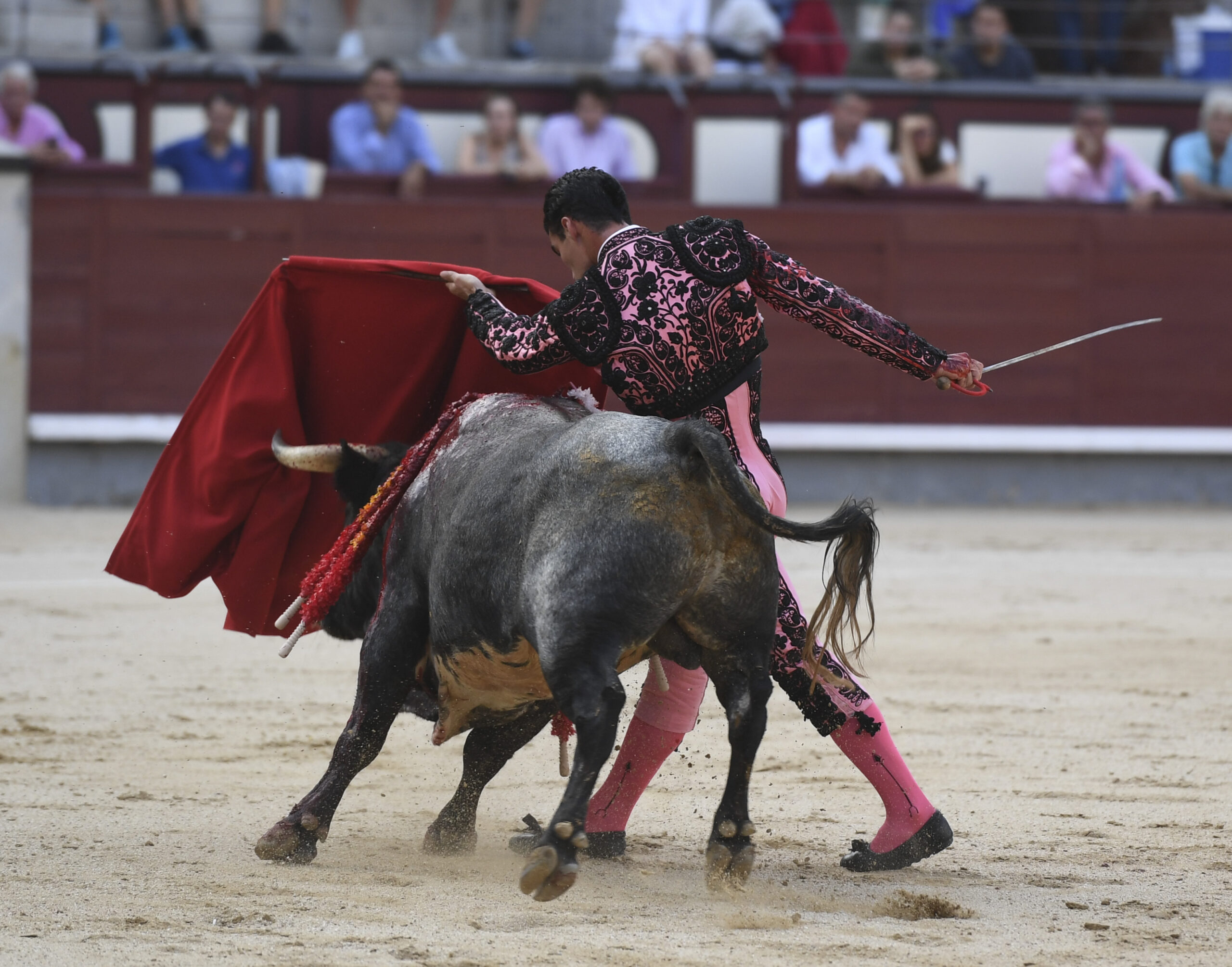 Madrid- Novillada picada - Domingo 3 de septiembre de 2018