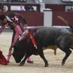 Madrid- Novillada picada - Domingo 3 de septiembre de 2018