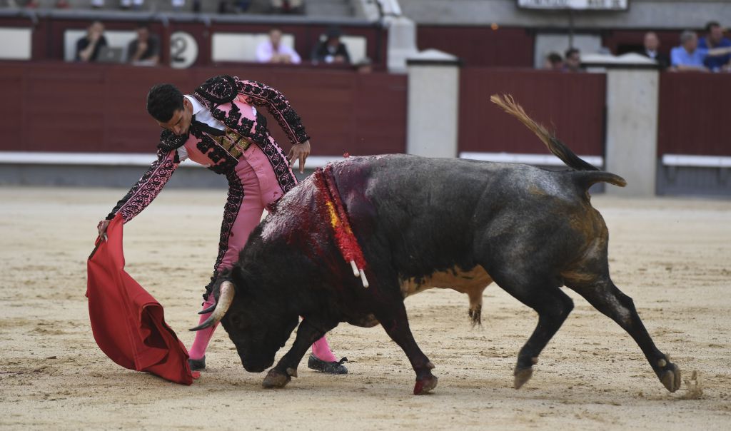 Madrid- Novillada picada - Domingo 3 de septiembre de 2018