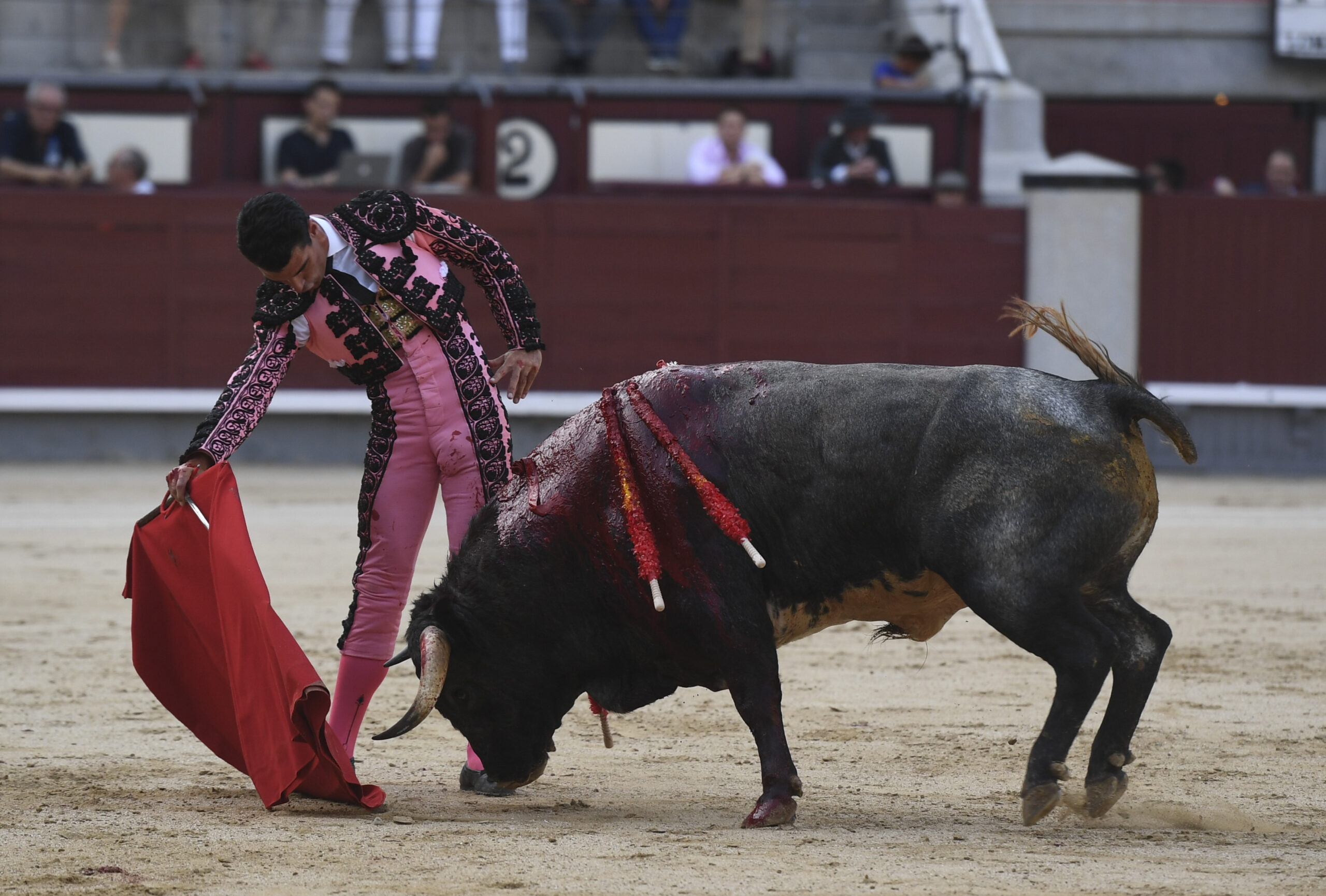 Madrid- Novillada picada - Domingo 3 de septiembre de 2018