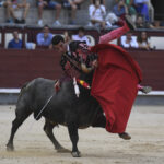 Madrid- Novillada picada - Domingo 3 de septiembre de 2018