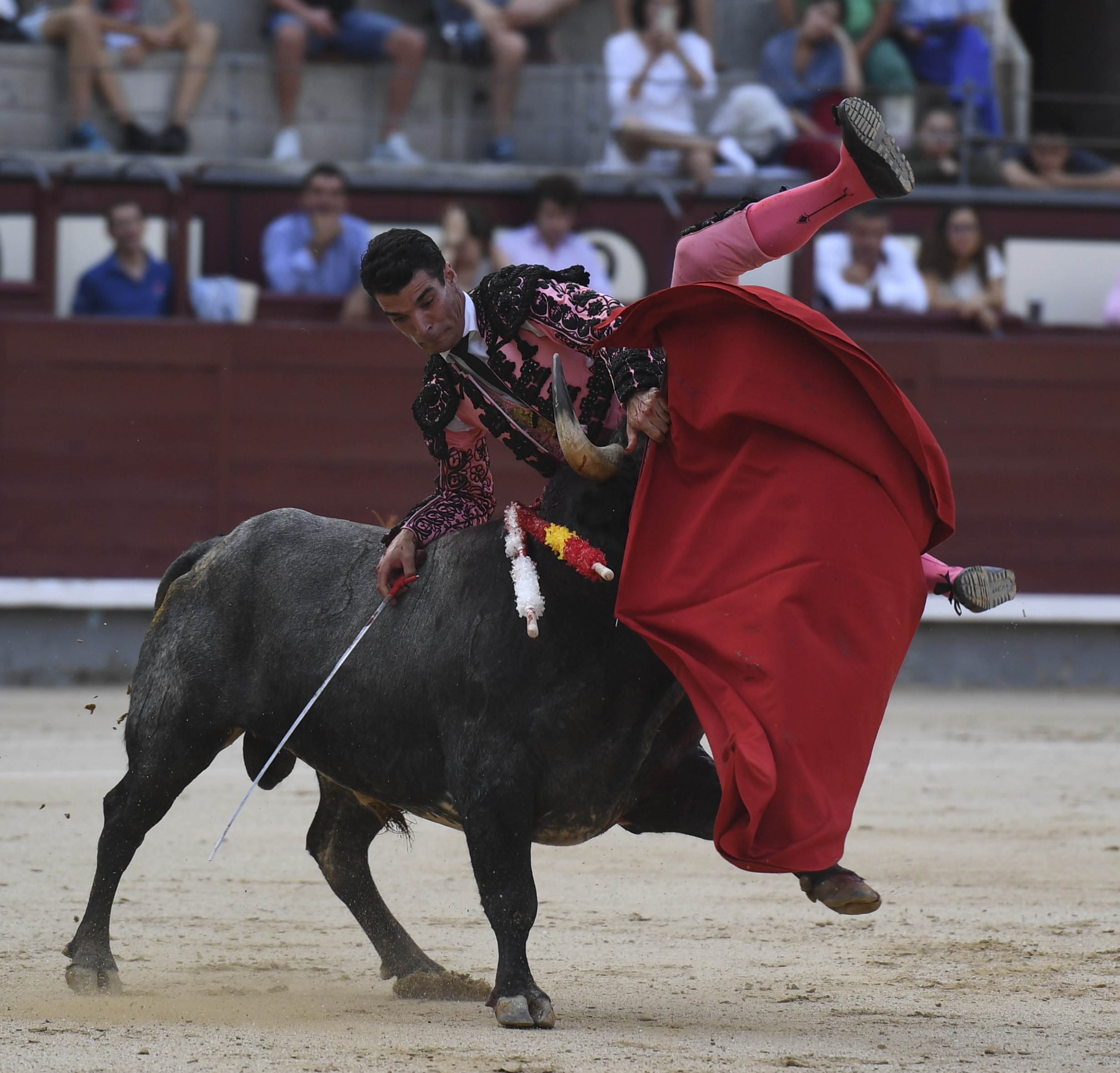 Madrid- Novillada picada - Domingo 3 de septiembre de 2018