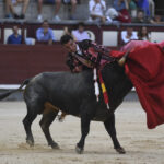 Madrid- Novillada picada - Domingo 3 de septiembre de 2018