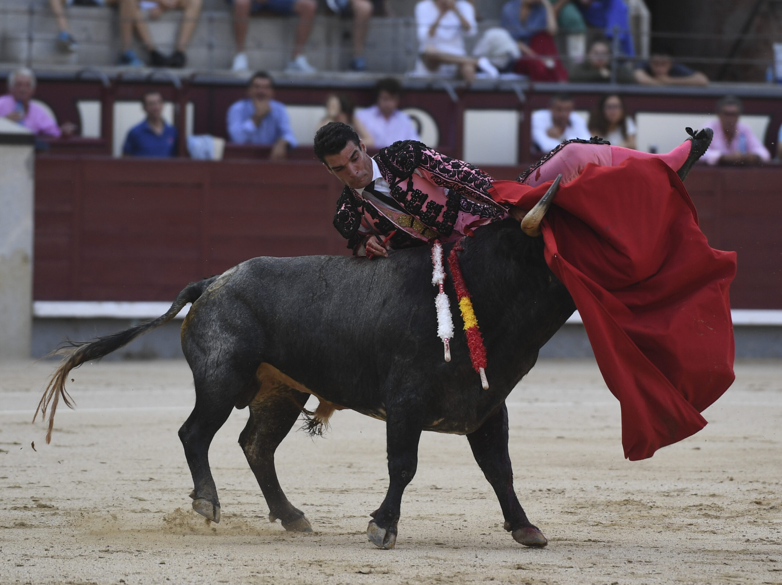 Madrid- Novillada picada - Domingo 3 de septiembre de 2018