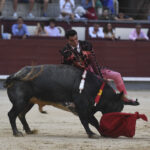 Madrid- Novillada picada - Domingo 3 de septiembre de 2018