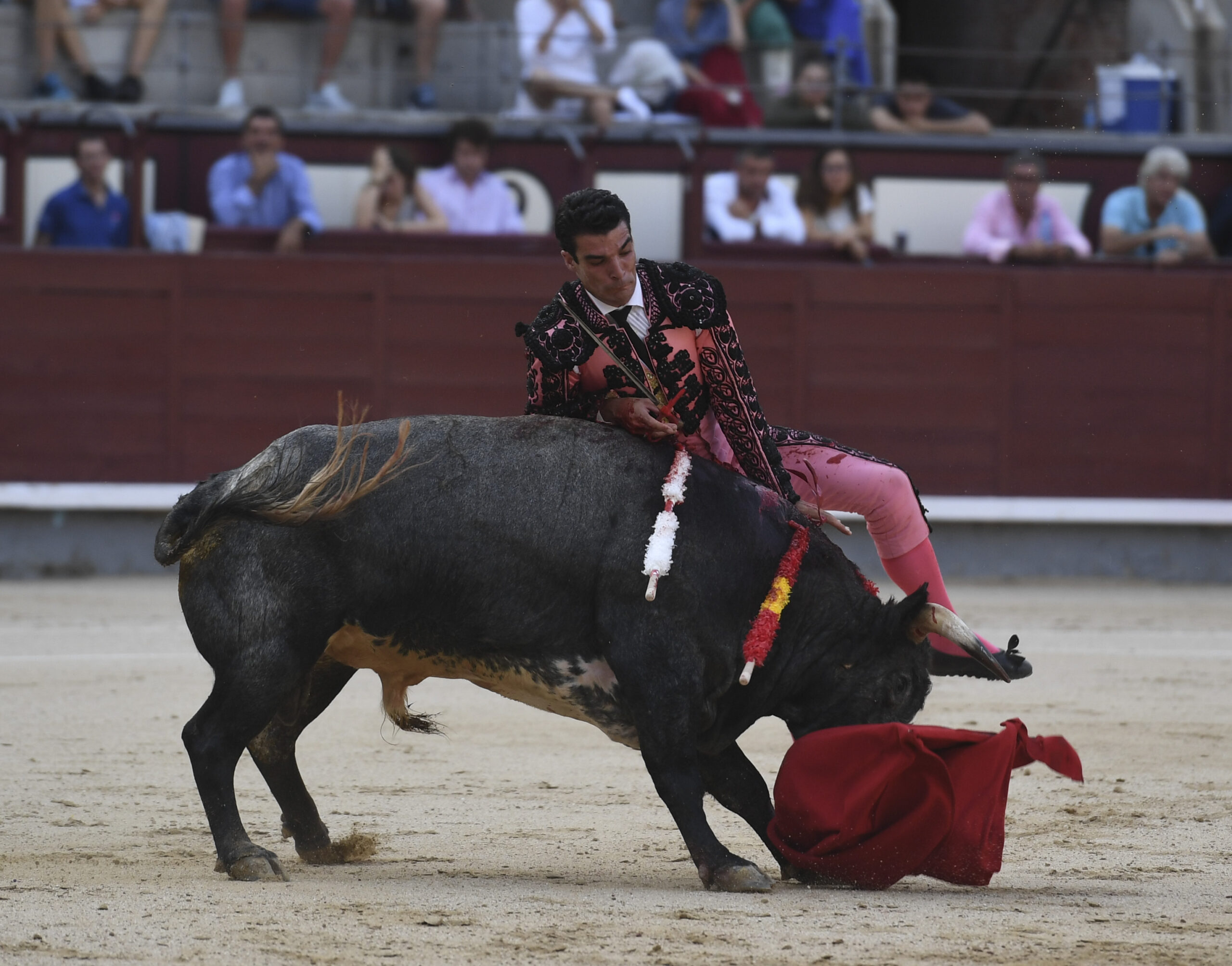 Madrid- Novillada picada - Domingo 3 de septiembre de 2018