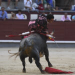 Madrid- Novillada picada - Domingo 3 de septiembre de 2018