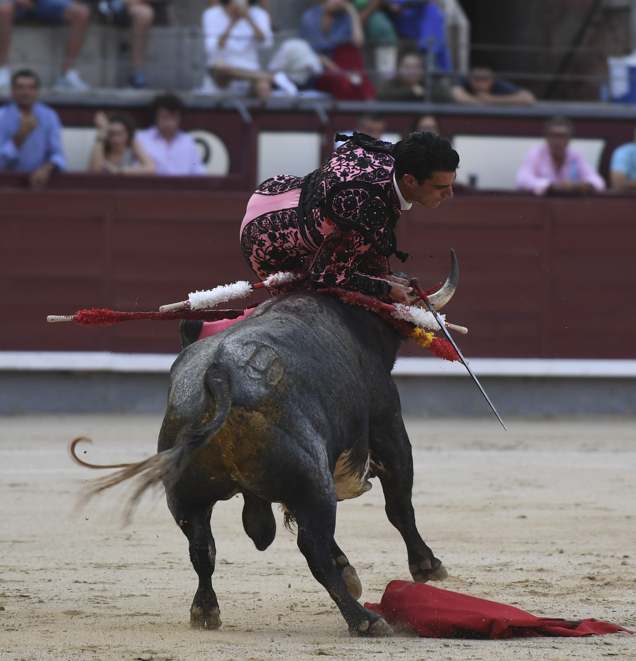 Madrid- Novillada picada - Domingo 3 de septiembre de 2018