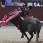 Madrid- Novillada picada - Domingo 3 de septiembre de 2018