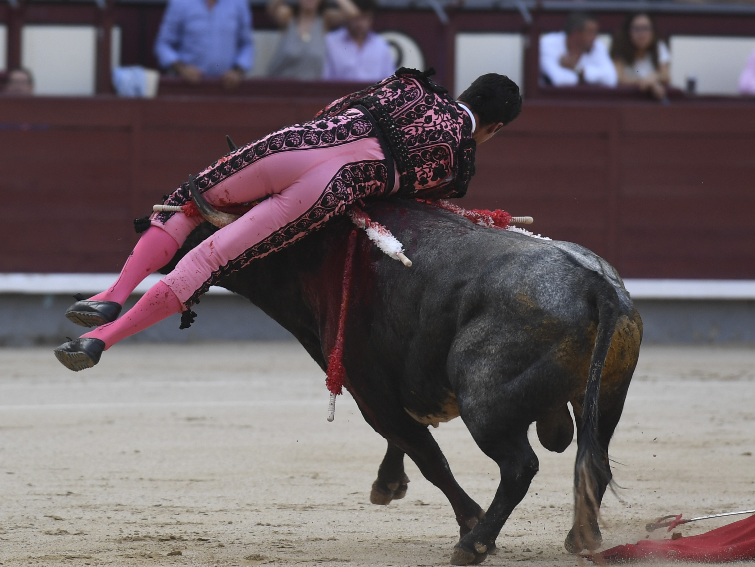 Madrid- Novillada picada - Domingo 3 de septiembre de 2018