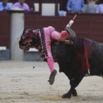 Madrid- Novillada picada - Domingo 3 de septiembre de 2018