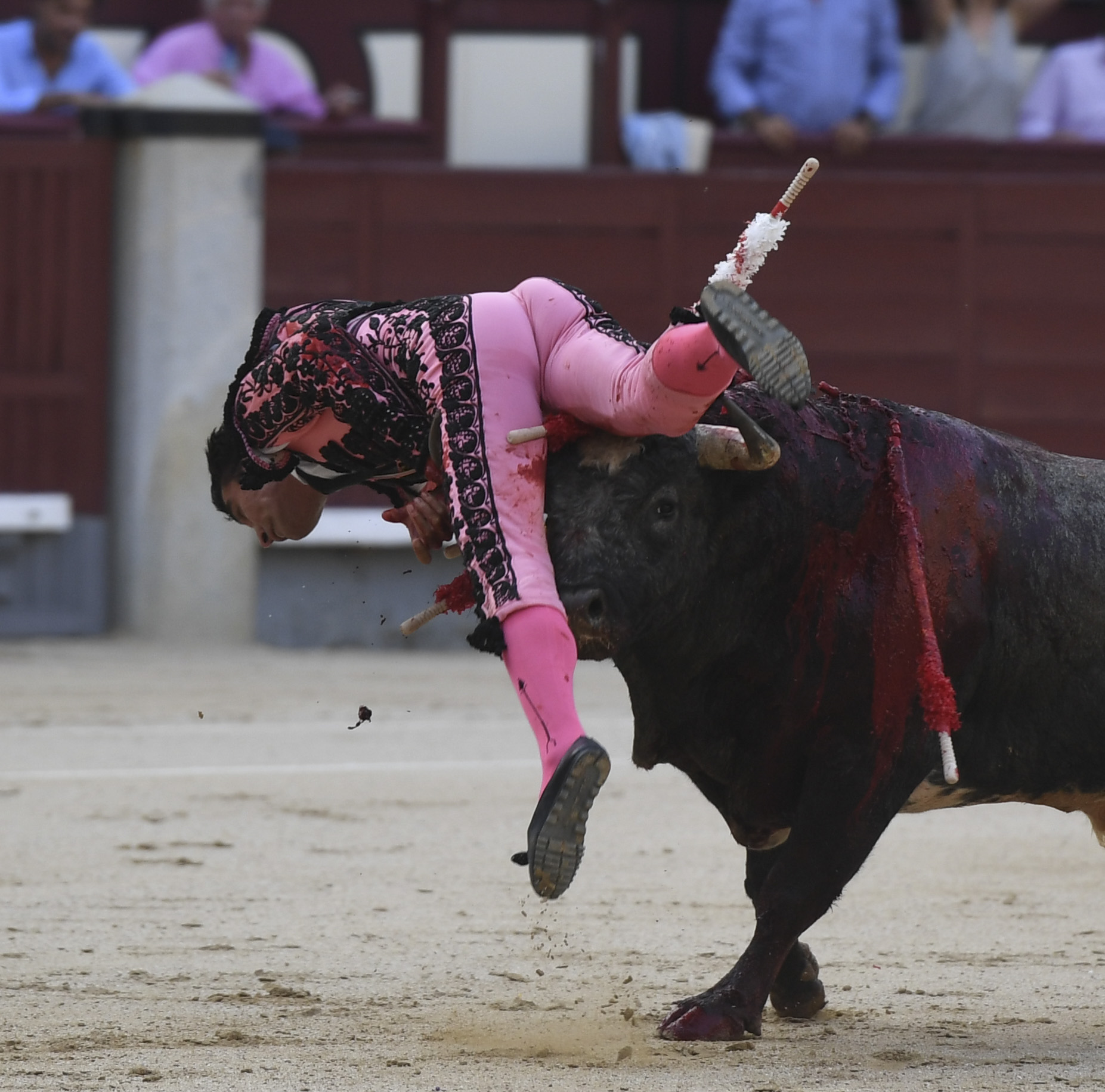 Madrid- Novillada picada - Domingo 3 de septiembre de 2018