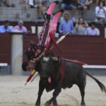 Madrid- Novillada picada - Domingo 3 de septiembre de 2018