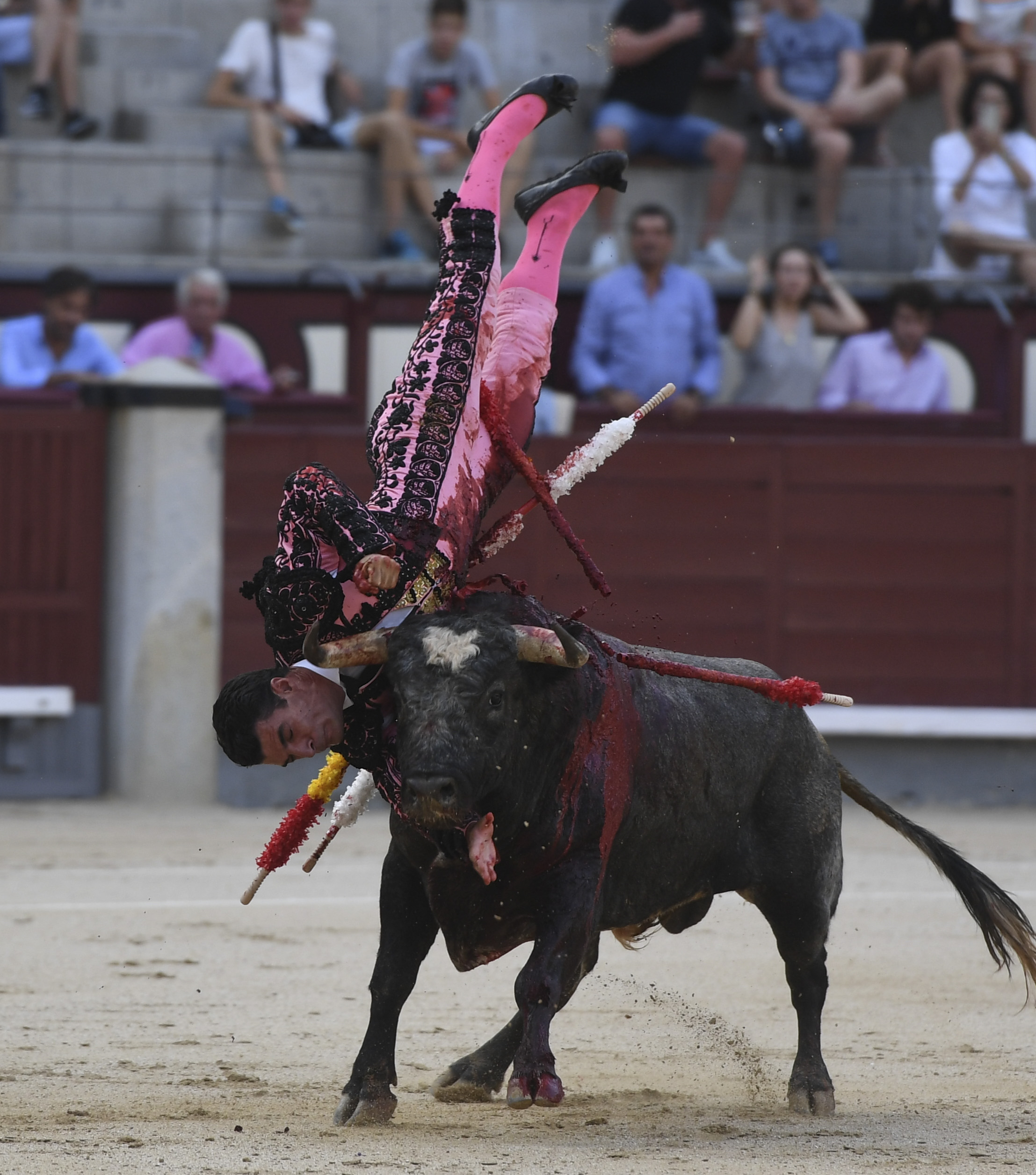 Madrid- Novillada picada - Domingo 3 de septiembre de 2018