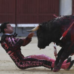 Madrid- Novillada picada - Domingo 3 de septiembre de 2018