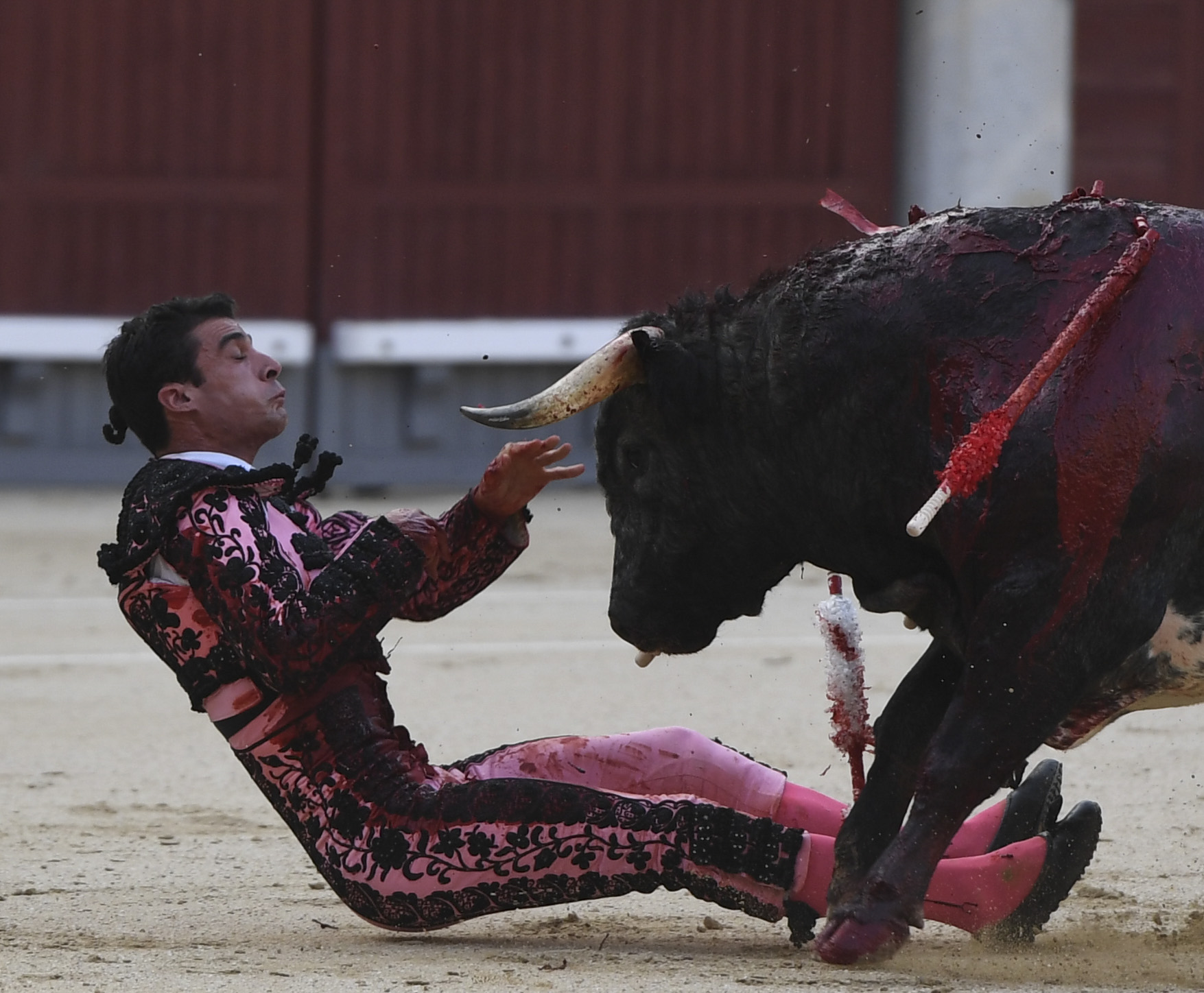 Madrid- Novillada picada - Domingo 3 de septiembre de 2018