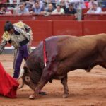 Salamanca, 14 de septiembre de 2018