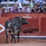 Salamanca, 15 de septiembre de 2018