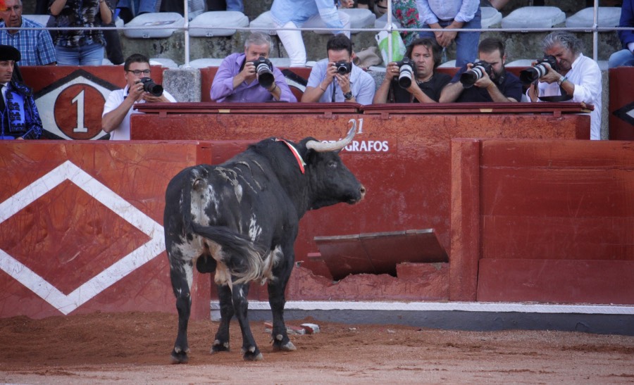Salamanca, 15 de septiembre de 2018
