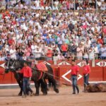 Salamanca, 16 de septiembre de 2018