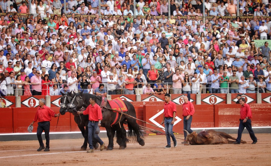 Salamanca, 16 de septiembre de 2018