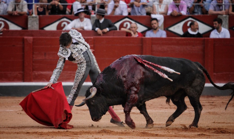 Salamanca, 16 de septiembre de 2018