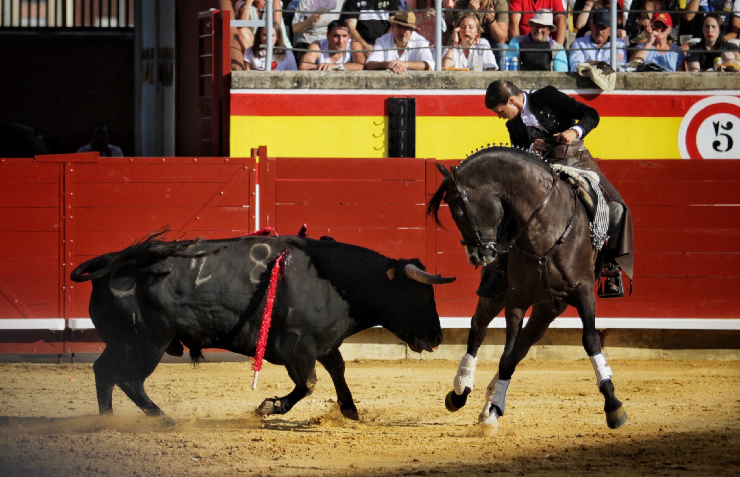 Palencia - Corrida de rejones - Domingo 2 de septiembre de 2018