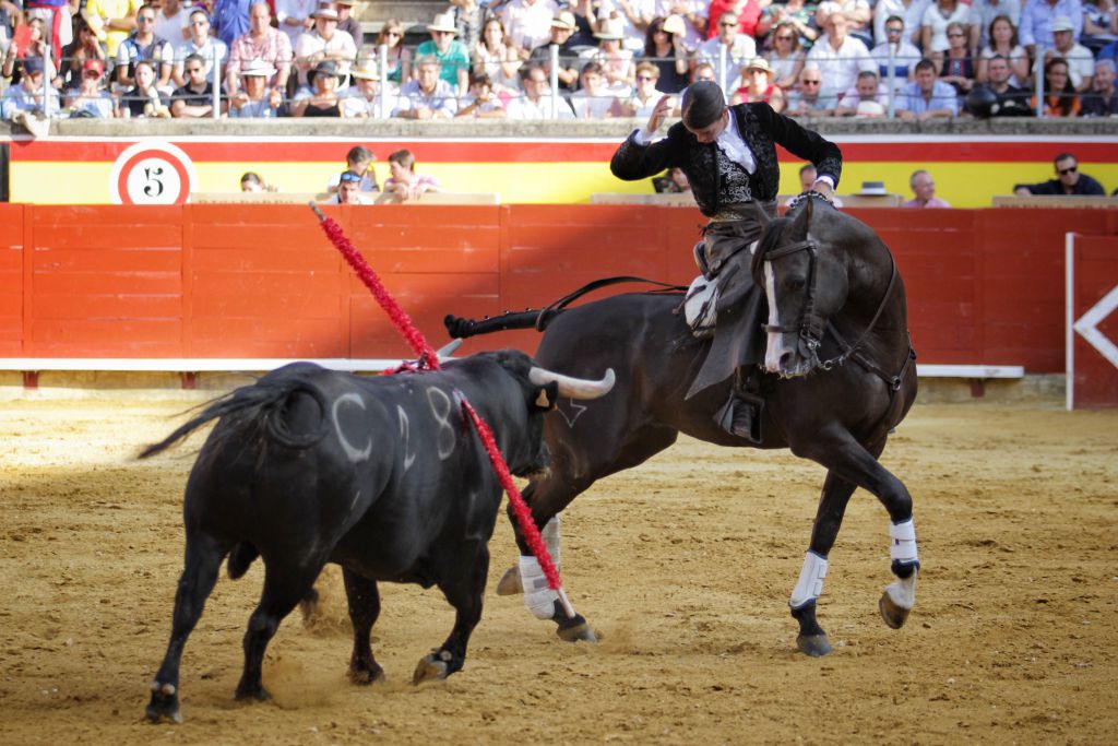 Palencia - Corrida de rejones - Domingo 2 de septiembre de 2018
