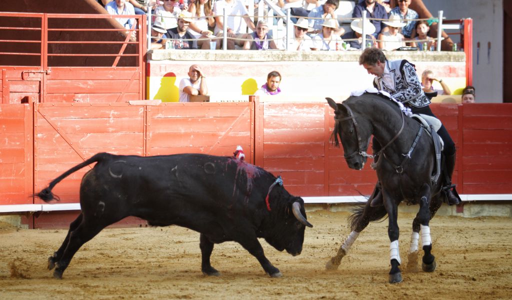 Palencia - Corrida de rejones - Domingo 2 de septiembre de 2018