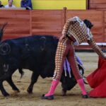 Palencia - Corrida de toros - Sábado 1 de septiembre de 2018
