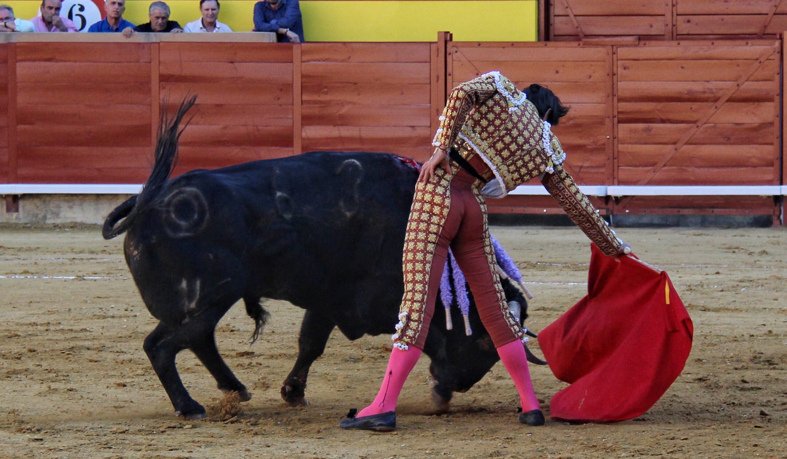 Palencia - Corrida de toros - Sábado 1 de septiembre de 2018