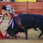 Palencia - Corrida de toros - Sábado 1 de septiembre de 2018