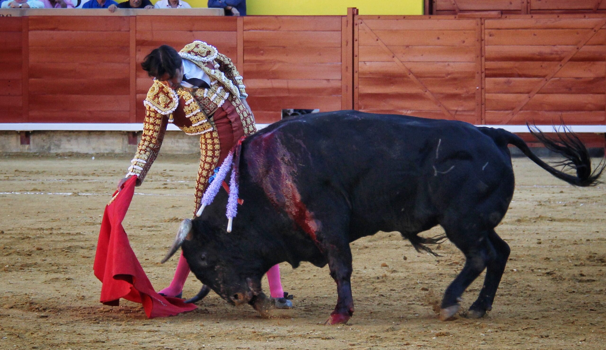 Palencia - Corrida de toros - Sábado 1 de septiembre de 2018