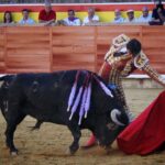 Palencia - Corrida de toros - Sábado 1 de septiembre de 2018