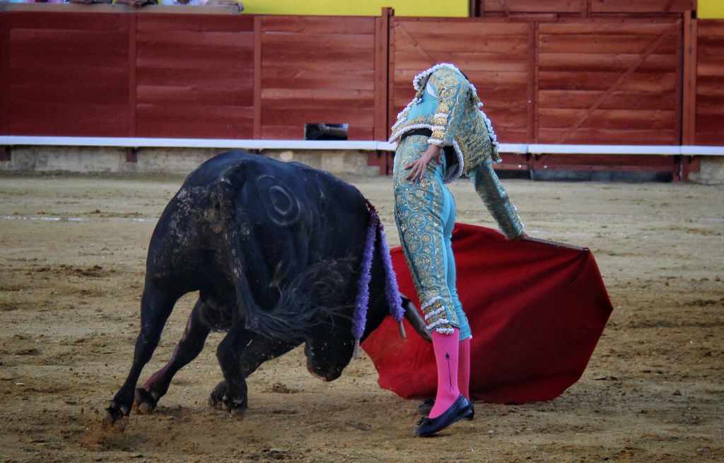 Palencia - Corrida de toros - Sábado 1 de septiembre de 2018