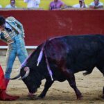 Palencia - Corrida de toros - Sábado 1 de septiembre de 2018