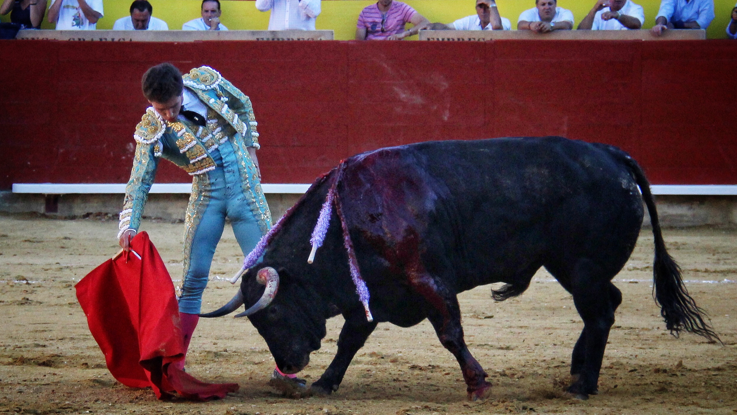 Palencia - Corrida de toros - Sábado 1 de septiembre de 2018