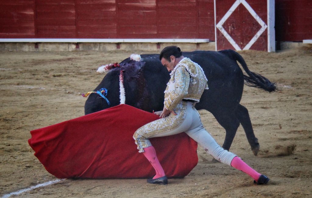 Palencia - Corrida de toros - Sábado 1 de septiembre de 2018