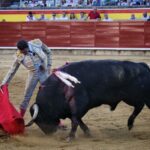 Palencia - Corrida de toros - Sábado 1 de septiembre de 2018
