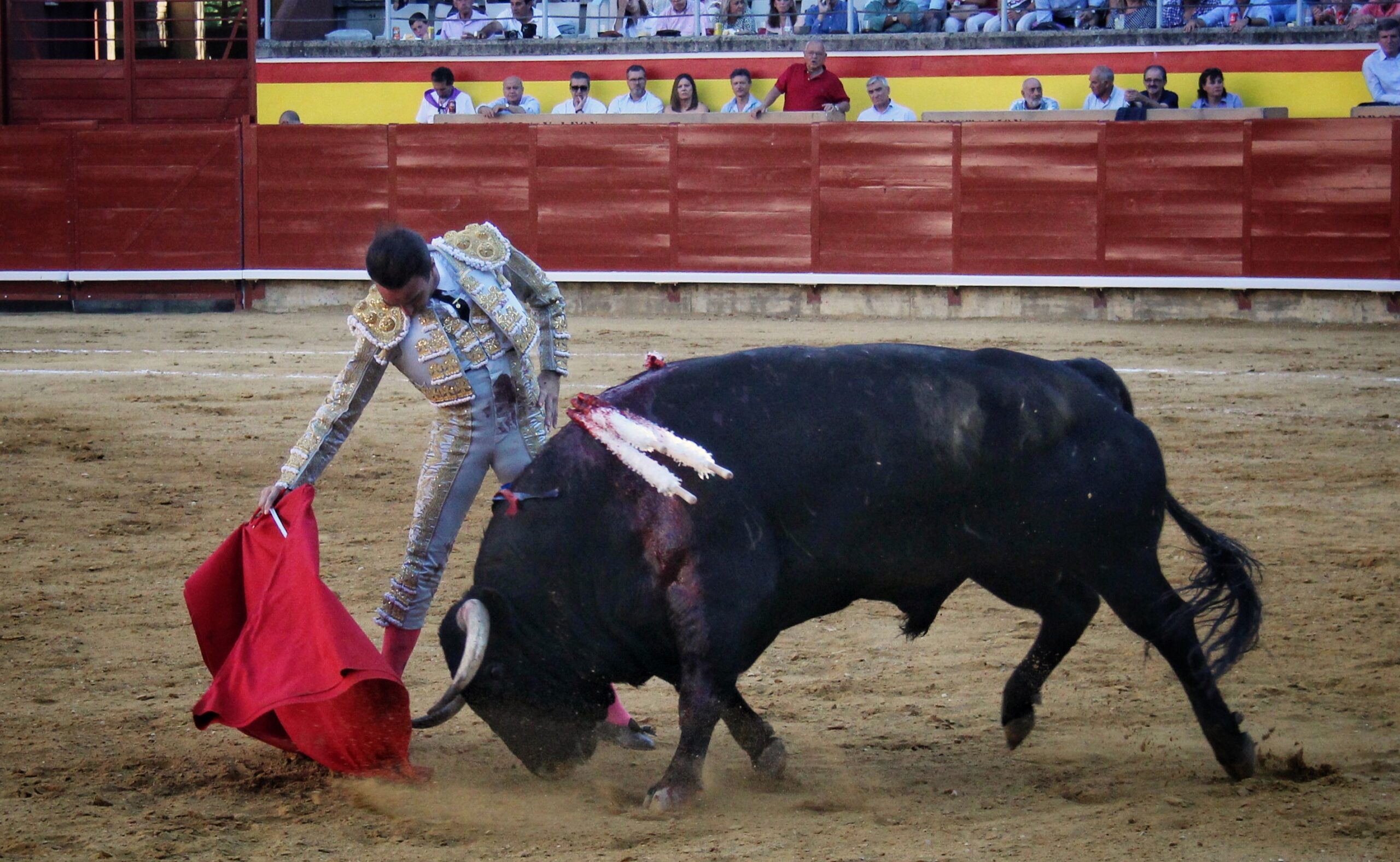 Palencia - Corrida de toros - Sábado 1 de septiembre de 2018