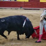 Palencia - Corrida de toros - Sábado 1 de septiembre de 2018