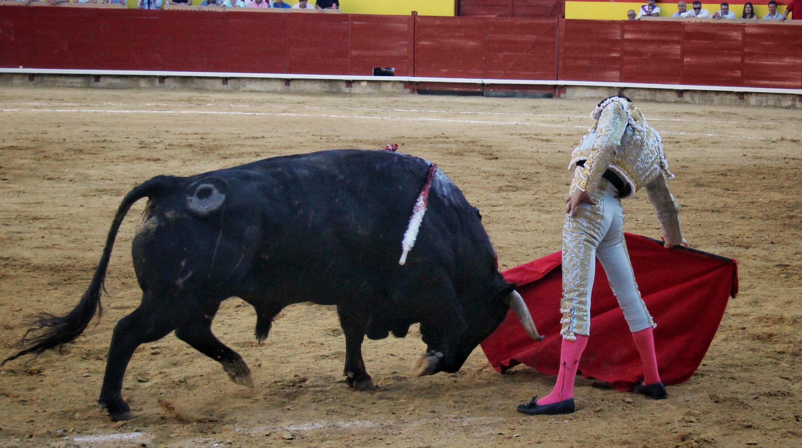 Palencia - Corrida de toros - Sábado 1 de septiembre de 2018