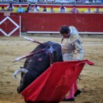 Palencia - Corrida de toros - Sábado 1 de septiembre de 2018