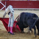 Palencia - Corrida de toros - Sábado 1 de septiembre de 2018