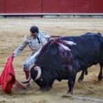 Palencia - Corrida de toros - Sábado 1 de septiembre de 2018